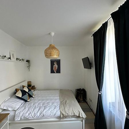 Zen Studio 브라쇼브 외부 사진